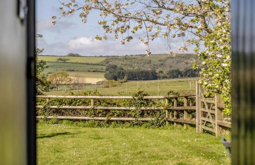 2 Bed in Newchurch oc-ic092 - Foto 19