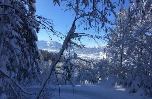 Holiday apartment Alpsee Thirteen - Photo 24