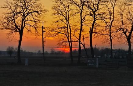 Domki Lawendowy Zakątek - Foto 31