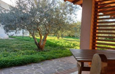 Agriturismo Villa Degli Ulivi - Foto 11