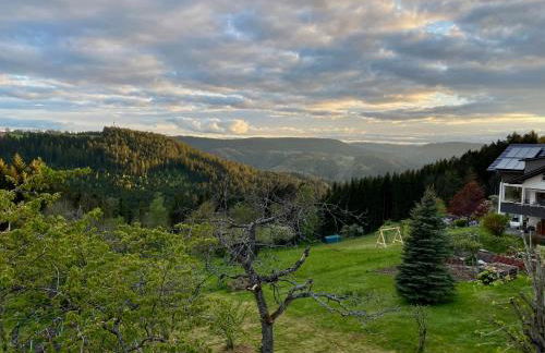Ferienhaus mit 5* Luxus im Schwarzwald - Foto 32
