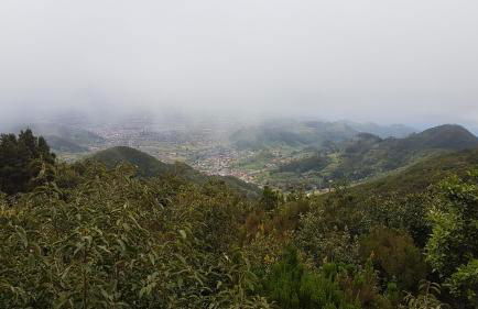 La Casita de Omar en el corazón de Anaga y La Laguna - Foto 49