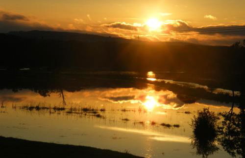 House on the Brooks Self catering Holiday let South Downs West Sussex Sleeps 14 - Foto 28
