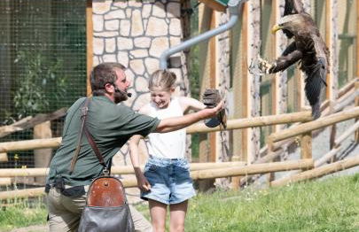 Der Eifel Perle Manderscheid - Foto 37