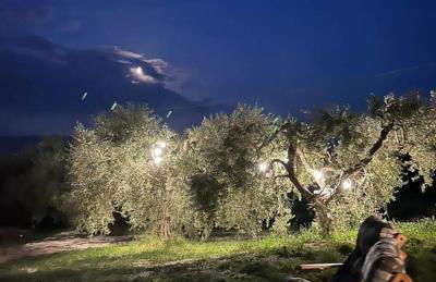 Agriturismo Madre Terra - Foto 17