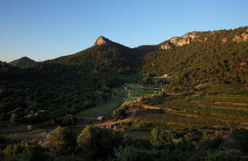 Foïna dels Fontanals - Foto 2