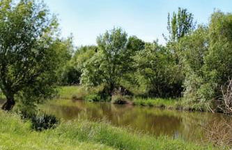 Le Clos de l'Authion - Photo 31