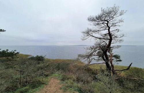 Wohnung in Lütow nahe Ostseestrand - Foto 28