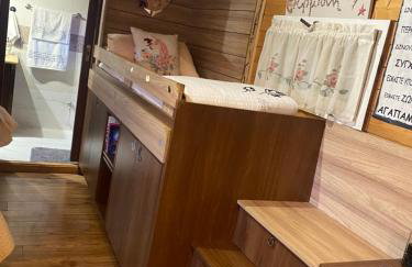 A wooden house in Kardamyla - Foto 56