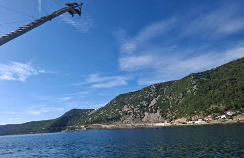 FoREST Heritage Apartment - Foto 54