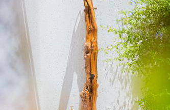 Casa Masini San Teodoro - Foto 36