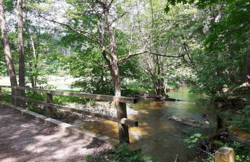 Mazury domek całoroczny Pelnik jezioro las - Photo 14