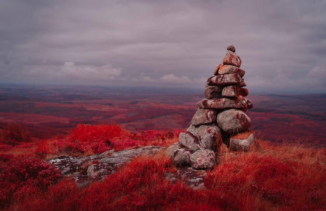 1 Bed Cabin in the Magical Galloway Forest Park - Photo 23