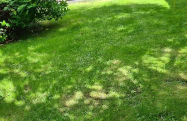 North Wales Cosy Cottage with views near Eryri Snowdonia - Photo 12