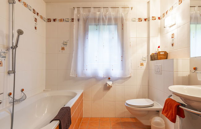 Bouquetins - Photo 24