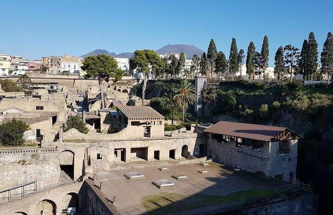 Excursion au Vésuve et à Herculanum - Photo 3