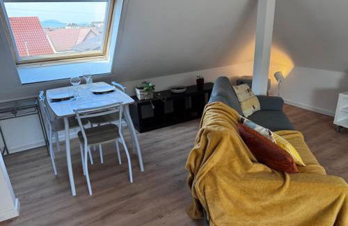 Au pieds du vignoble Colmarien - Foto 5