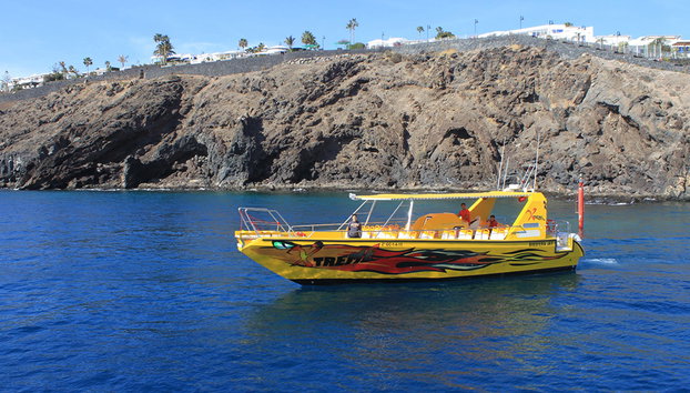 Puesta de sol y avistamiento de delfines - Foto 3