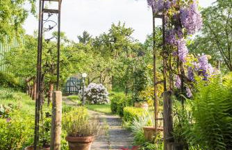 Ferienresidenz Brauneberger Hof an der Mosel nahe Bernkastel-Kues - Foto 40