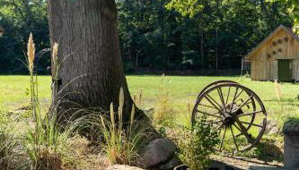 Kiefer -Ferienwohnung in Dötlingen mit Waldblick - Photo 3, Garden view