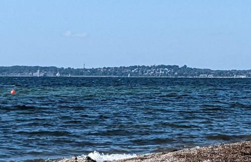 Taubennest - Foto 37