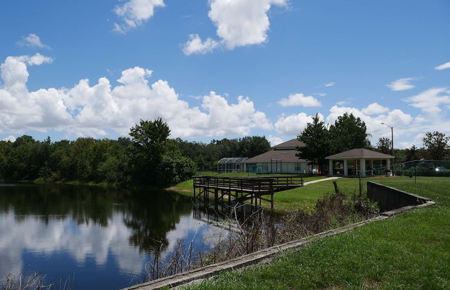 Dreamland Disney - Foto 43