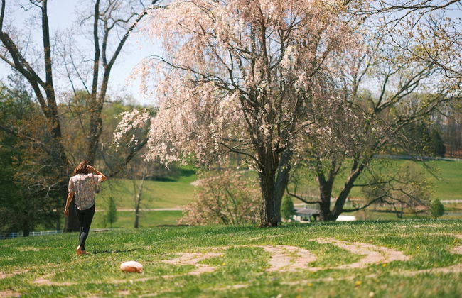 The Horse Shoe Farm - Foto 57