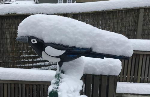 Landhaus Silbach - Photo 26