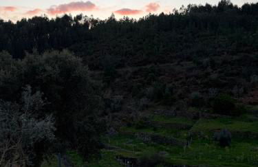 Casa da Ribeirinha - Foto 62