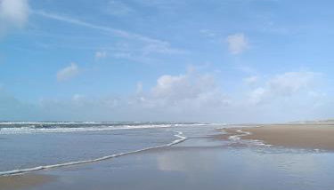 Domaine D'Erras -colibri - - Foto 1