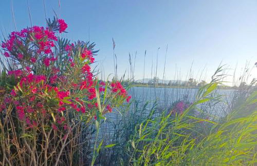 La Daurada - Foto 32