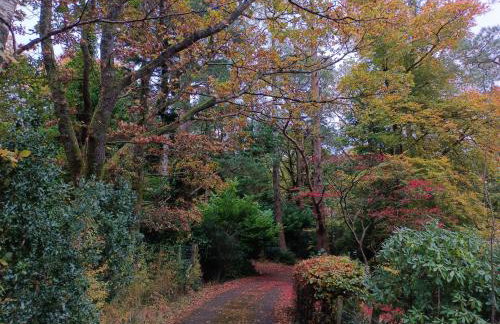 Catbells Sunrise Cottage Borrowdale Lake District - Photo 32
