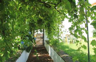 Santana Houses - Photo 76