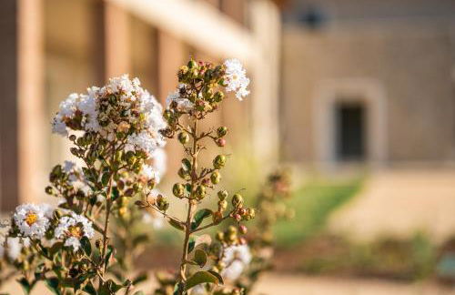 Agriturismo Maria Vittoria - Foto 108