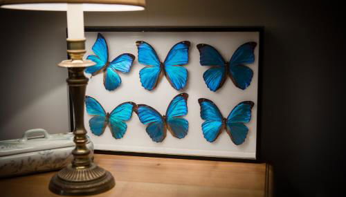 Les Gîtes du Chateau de la Morinière - Photo 4