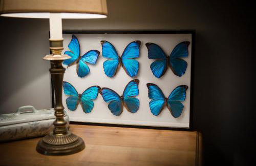 Les Gîtes du Chateau de la Morinière - Photo 4