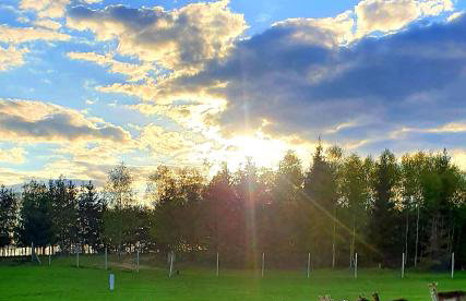 Przystań Nad Zatoką - Gospodarstwo Agroturystyczne - Foto 76