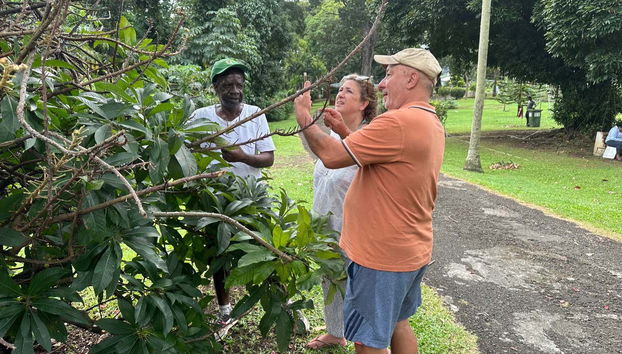 Visita guiada por Kingstown - Foto 3