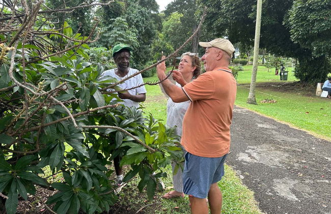 Visita guiada por Kingstown - Foto 3