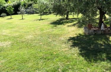 Casa Teodoro - Gelsomino, Ulivi & Orchidea - Foto 28