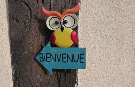 Gîte et Relais Equestre de Marie - Foto 14