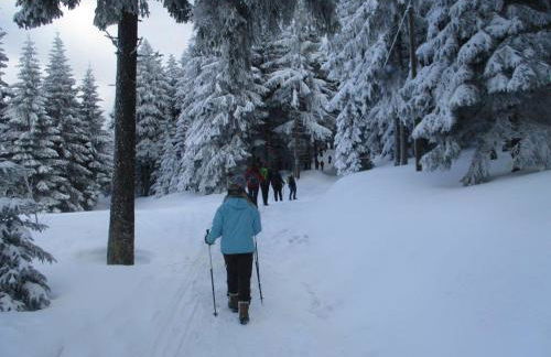 Ferienhaus Ederer - Foto 75