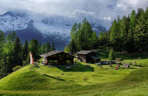 XL Appartements Steinhaus - Photo 30