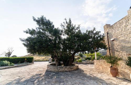 Carob Villa - Photo 70