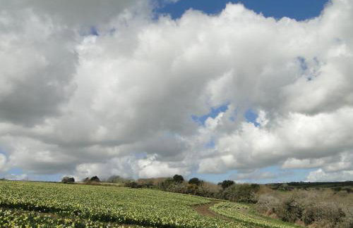 Private Double Room and Ensuite in Historic Cornish Cottage - Photo 29