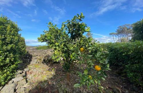 Refúgio da Montanha - Foto 12