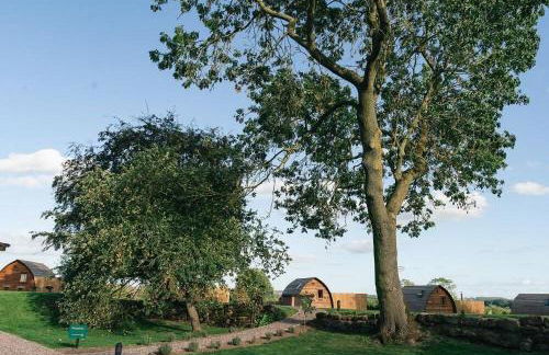 Saxon Meadow by Wigwam Holidays - Photo 11