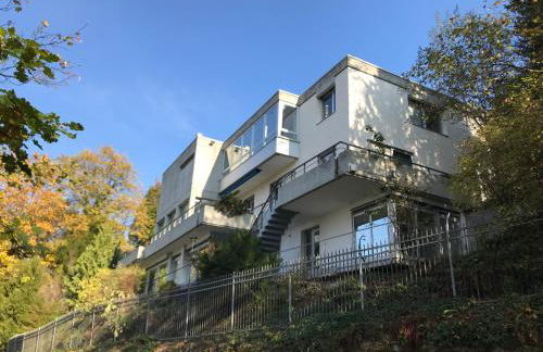 Ferienwohnung-Freiburg-Exklusiv - Foto 11