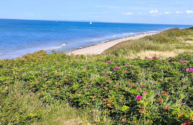 4 Person Holiday Home in Gilleleje - Foto 29