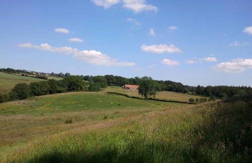 Rawcliffe House Farm Studios, Peaceful North York Moors Retreat - Foto 52